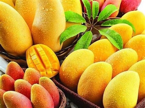芒果种类那么多都有什么区别？哪种芒果吃起来更好吃，吃哪种芒果对人更好呢？ - 知乎