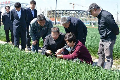 齐河：国省市县四级联动 开展智慧农业气象服务示范基地建设情况调研