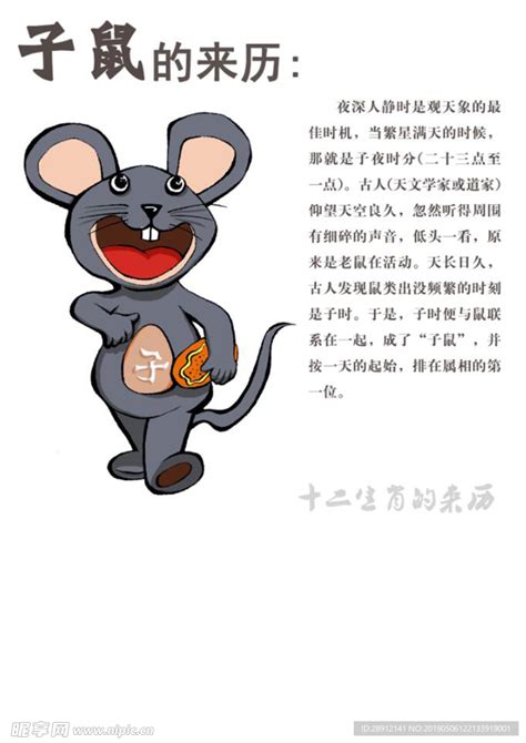 十二生肖之子鼠插画图片下载-正版图片400971136-摄图网