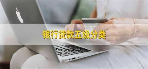 3屏山县岷江小贷公司贷款五级分类的方法、程序