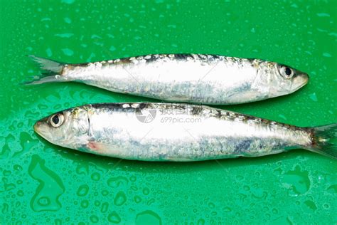 沙丁鱼是一种在鱼贩中很容易找到的鱼高清图片下载-正版图片506579554-摄图网