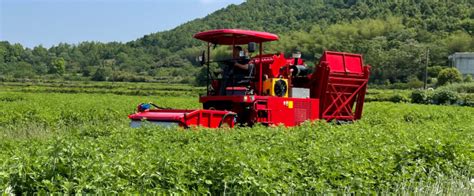 农机概念，2035年农产品机械化率将达70% 农业农村部近日印发《关于加快推进农产品初加工机械化高质量发展的意见》，提出到2025年，农产品初 ...