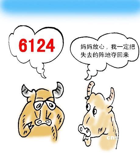 6124点周年反思录:学会空仓 熊市散户守财之道(图)-搜狐新闻
