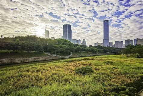 深圳中心公园 ～ 掠影-中关村在线摄影论坛