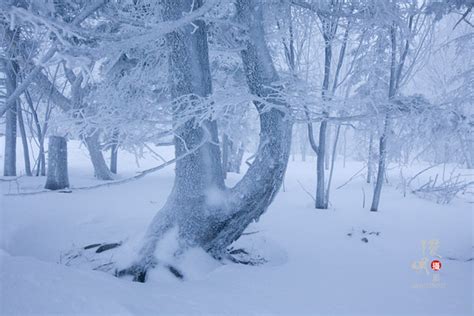 航拍林海雪原,森林植被,自然风景,摄影素材,汇图网www.huitu.com