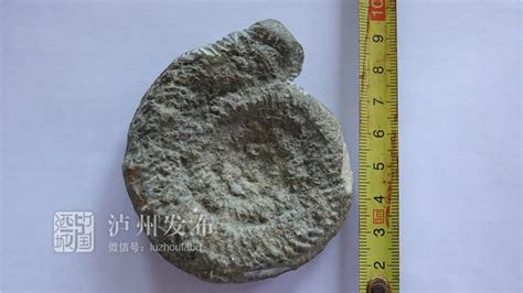 泸州村民捡到一块奇怪的石头，专家：可能是4亿年前的化石_澎湃号·媒体_澎湃新闻-The Paper