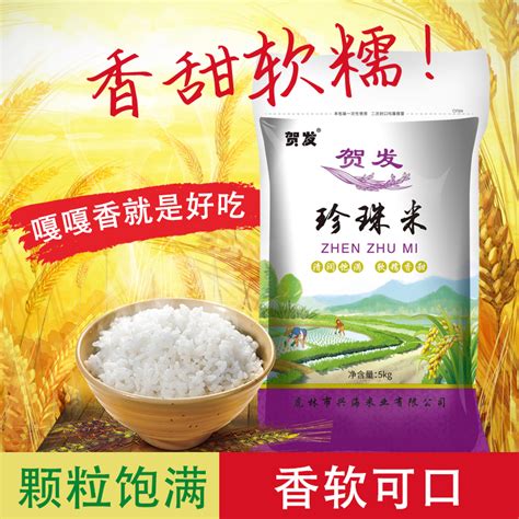 东北珍珠米【价格 批发 公司】-陕西谷塬农业科技有限公司