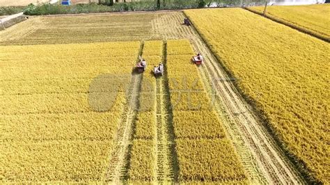 中联谷王PL60（4LZT-6.0ZC)水稻收割机_吉林省盛亿机械设备有限公司_吉林