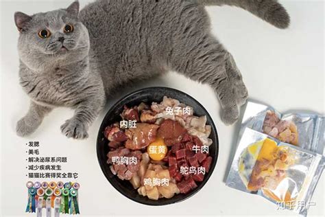 猫咪生骨肉的制作方法-小猫喜欢吃什么-酷派宠物网