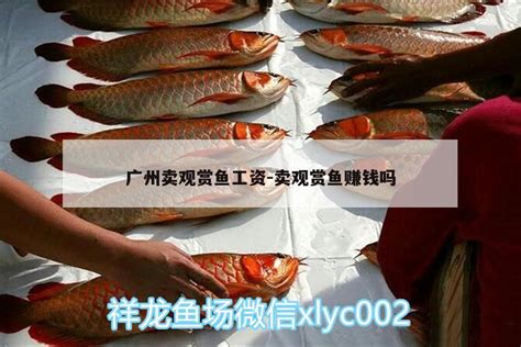 市场卖鱼摊摄影图__生活素材_生活百科_摄影图库_昵图网nipic.com