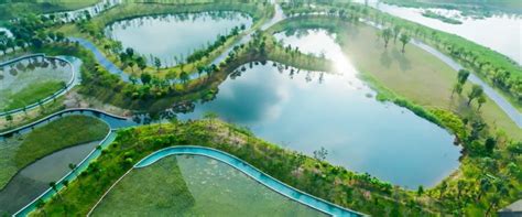 2022江西鄱阳湖湿地公园门票最新优惠政策一览_旅泊网