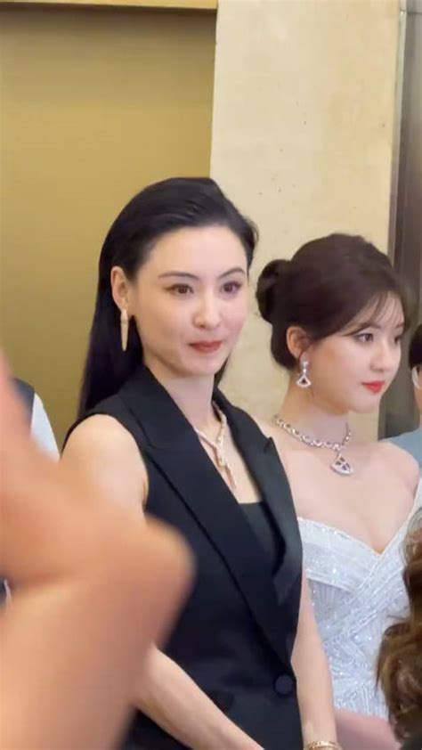 张柏芝和熊黛林对比图片