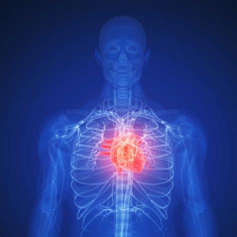 心脏各心房和心室分别和什么相连？