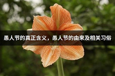 愚人节的真正含义，愚人节的由来及相关习俗丨洛阳婚庆