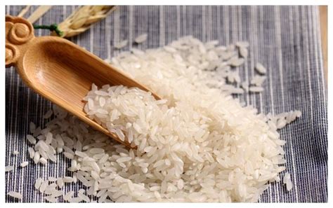 买大米时，选长粒米和还是圆粒米？很多人不知道，原来区别这么大|粳米|大米|圆粒_新浪新闻