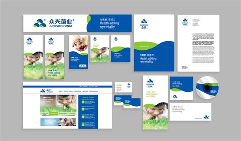 广州企业VI设计能给企业带来怎样的品牌效应-广州VI设计公司