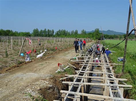 池州2020年度“四好农村路”建设工作获省级表彰_青阳县