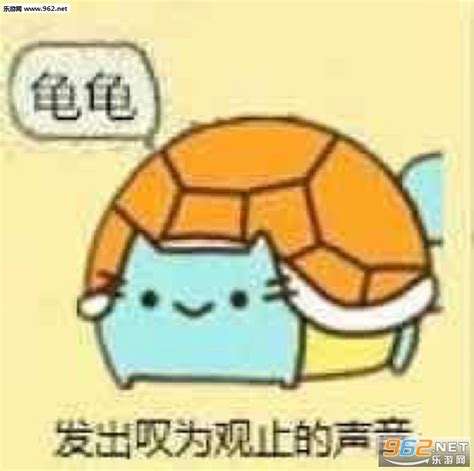 龟龟们表情包1图片