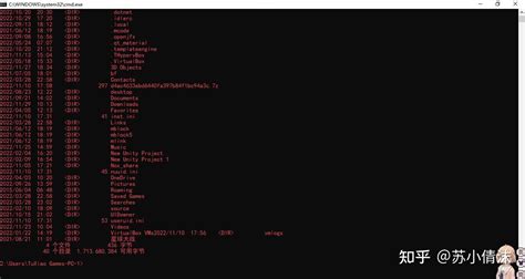 COmmand 的图像结果
