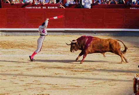 西班牙斗牛规则 - 运动健身 - 懂了笔记