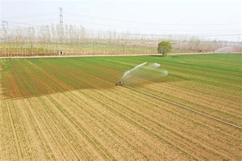 河北永清：节水灌溉让小麦及时喝上“返青水”_手机新浪网