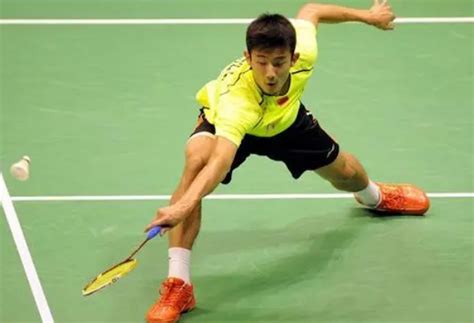 中国十大著名羽毛球男运动员 林丹第一，傅海峰上榜_排行榜123网