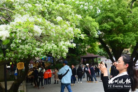 成都四月看花的地方有哪些_旅泊网