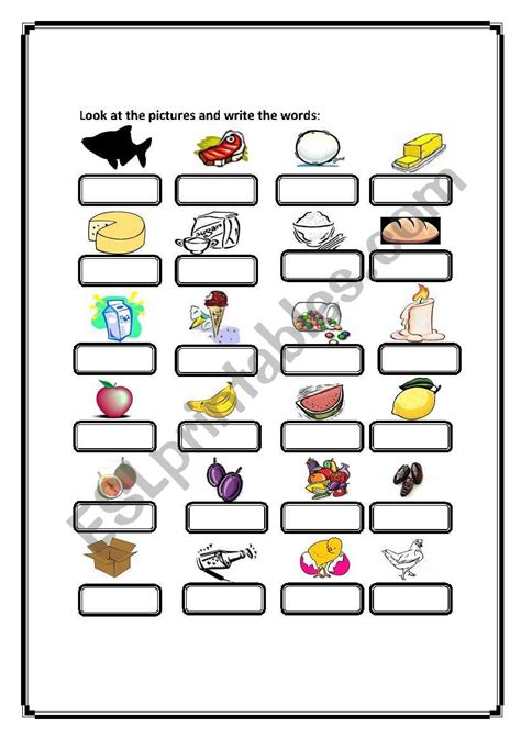 Identify The Picture Write Their Name Worksheet | FREE