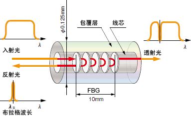 FBG光纤传感系统|特殊用途测量仪器|产品介绍|Tokyo Measuring Instruments Laboratory Co., Ltd.