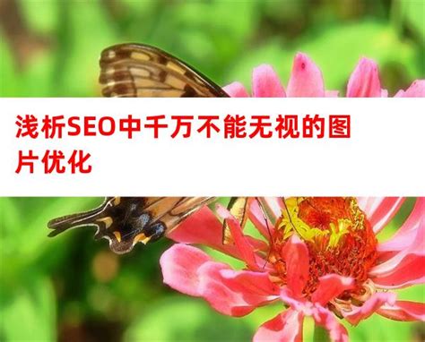 浅析SEO中千万不能无视的图片优化（网站建设）-西安SEO外包优化服务公司