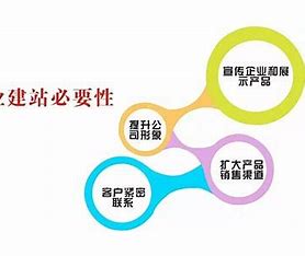 岳阳网站优化公司 的图像结果