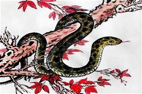 属蛇的和什么属相相冲 属蛇不能与什么婚配 - 万年历
