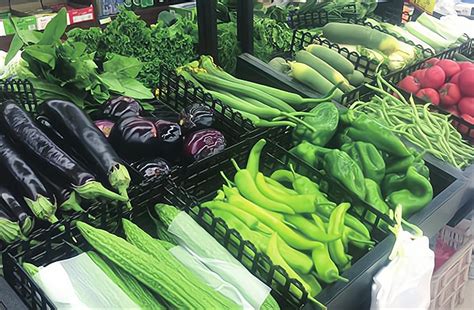 南宁市34种蔬菜平均零售价格为6.4元/公斤 时蔬争“鲜”上市 菜价持续回落|南宁市|菜价|回落_新浪新闻