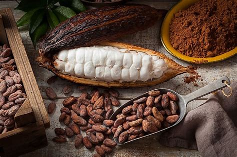 Cacao nibs: What are they and how do you use them? - ReadCacao