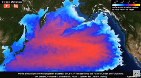 日本将百万吨核污水排入大海，对我们有什么影响？海鲜还能吃么？5点全告诉你！_澎湃号·媒体_澎湃新闻-The Paper