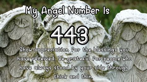 443 — четыреста сорок три. натуральное нечетное число. 86е простое ...
