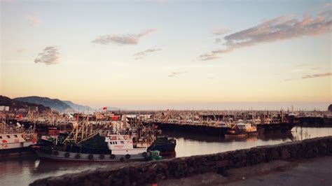 【大连】最近的一些照片 东港 钻石湾 渔人码头 香炉礁-作品-大疆社区