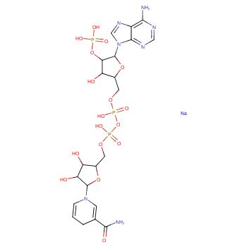 104809-32-7 烟酰胺腺嘌呤二核苷酸 cas号104809-32-7分子式、结构式、MSDS、熔点、沸点