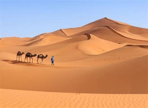 描写沙漠的句子 形容沙漠的短句_知秀网