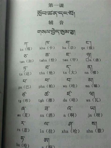 请问藏语字体是不是有多种？ - 知乎