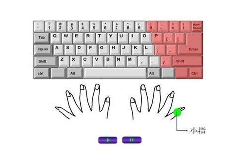 电脑键盘指法分布，打键盘的正确手法图片_新火评测网