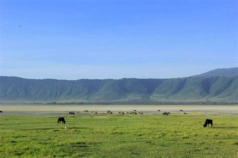 坦桑尼亚哈扎部落：地球最后以狩猎为生的民族|文章|中国国家地理网
