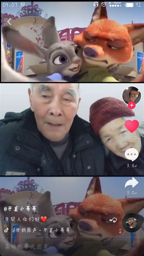 抖音狐狸表情包图片