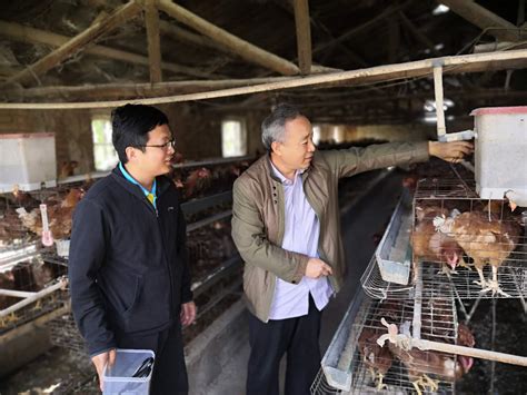 我校家禽养殖科技服务团队赴一师十一团七连开展技术服务-塔里木大学