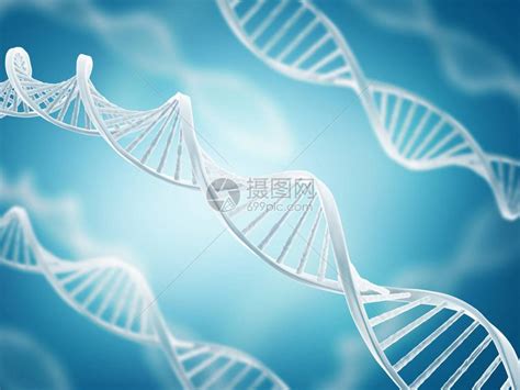 DNA结构的数高清图片下载-正版图片507485181-摄图网