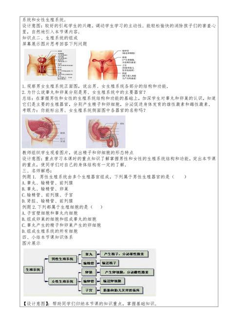 人教版七年级生物下册4.1.2人的生殖教学设计（表格式）-21世纪教育网