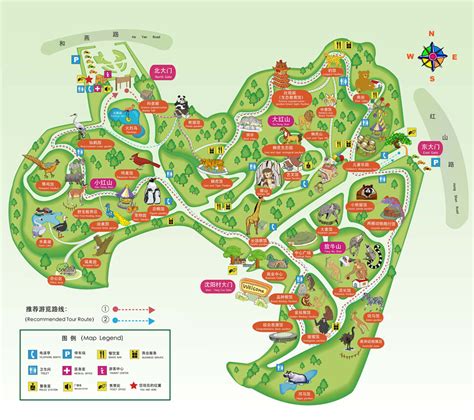南京红山动物园游玩路线- 本地宝