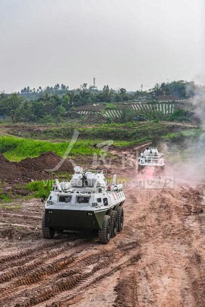 重庆武警：开展防暴装甲车驾驶训练-人民图片网
