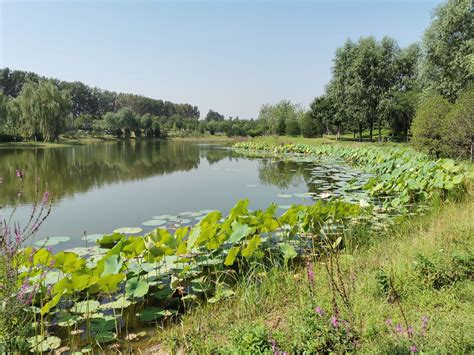 2022东郊森林湿地公园游玩攻略,是北京城市总体规划确定的四...【去哪儿攻略】