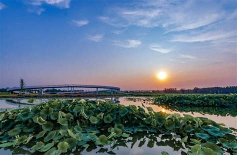 亮目标新闻发布会|滨州水务发展集团：让“生态之水”津润“品质之城”，确保市民喝上“放心水”“优质水”